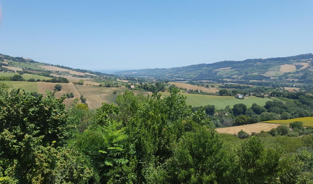 Il Piccolo Carro Apartments - Housity