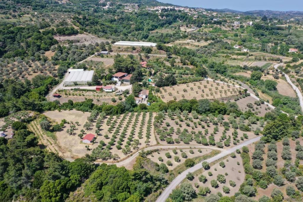 3 BD Luxurious villa with agriculture surroundings - Housity