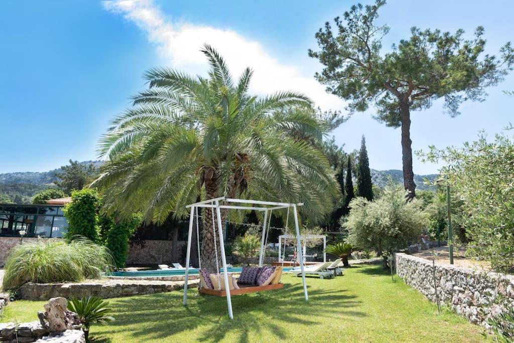 Suitetrails - 3 BD Luxurious villa with agriculture surroundings