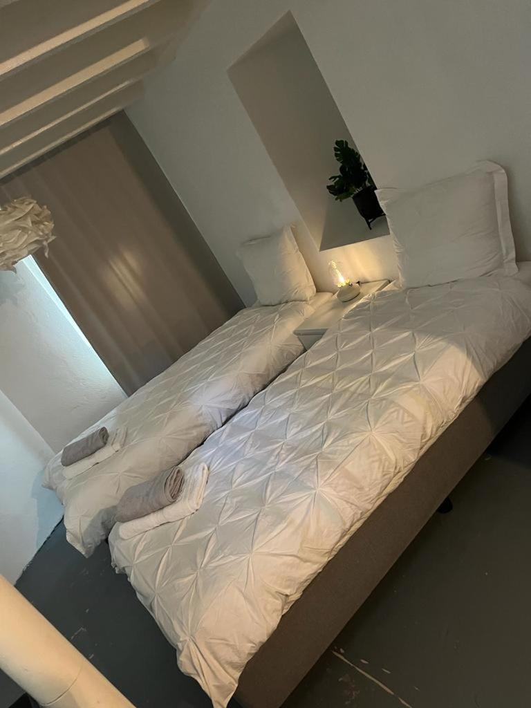 Arnhem Travel Hotel - Housity