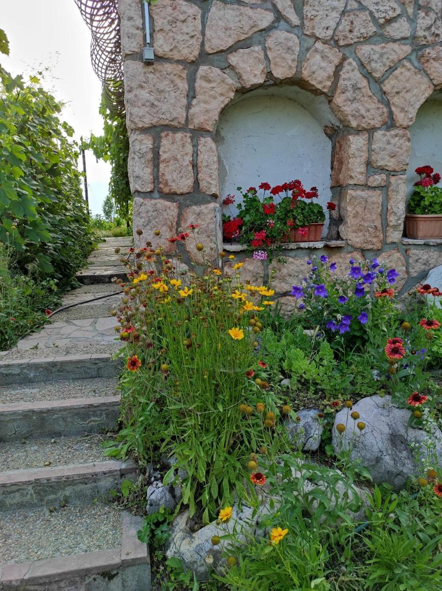 Suitetrails - Kerti lak