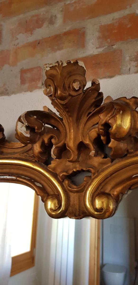 Azienda agricola Ca' Bianca Bio - Housity