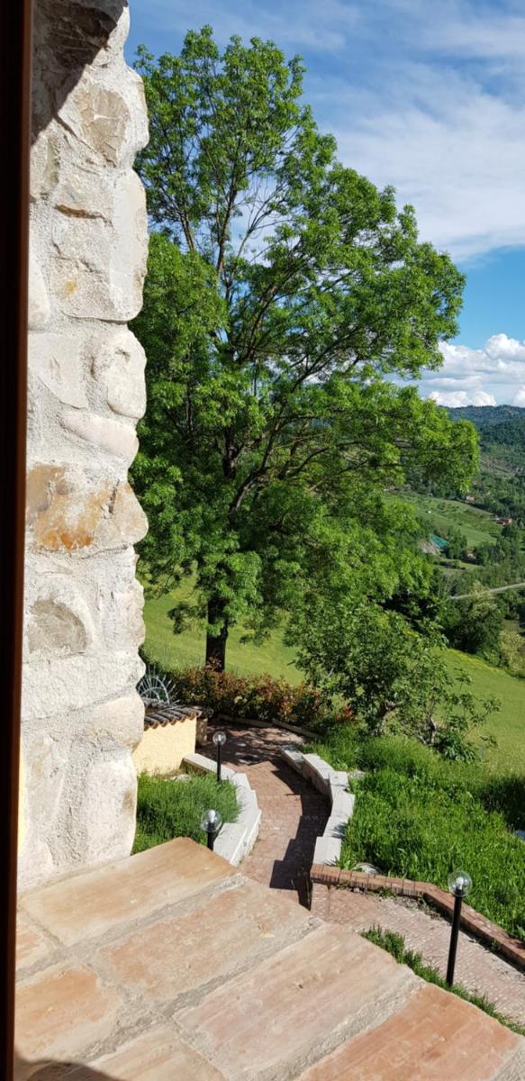 Azienda agricola Ca' Bianca Bio - Housity