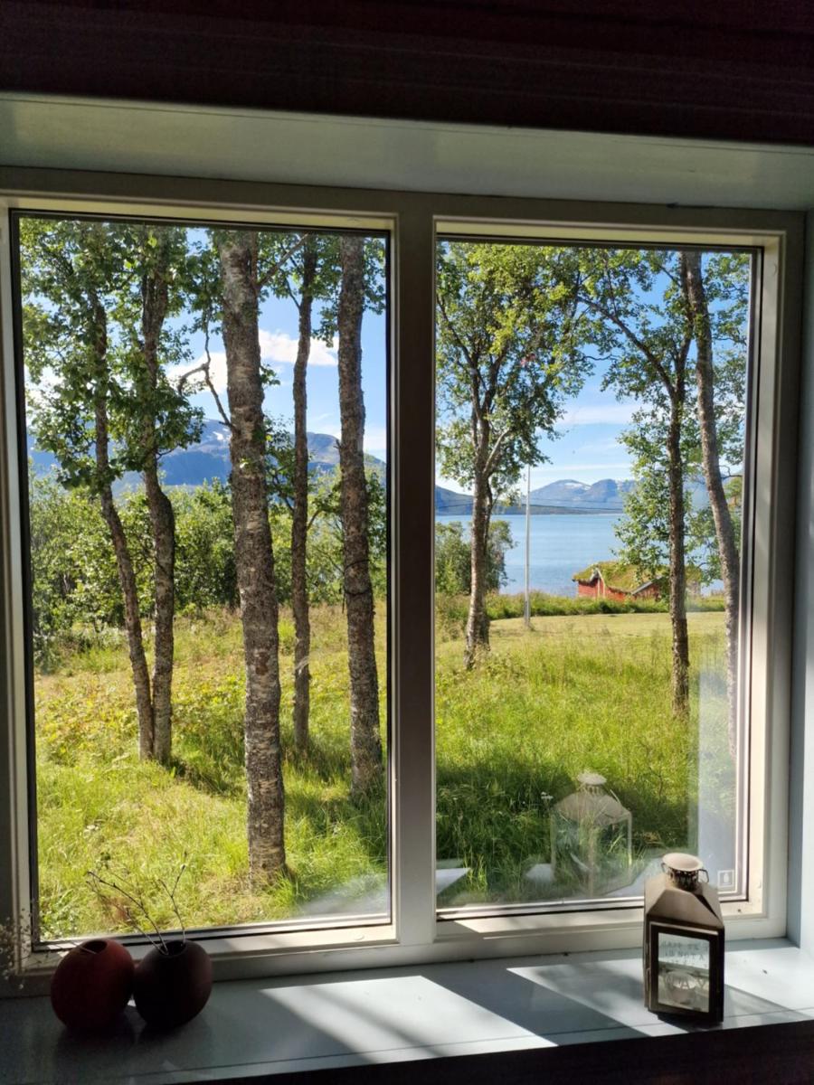 Gamtunet Lyngen - Housity
