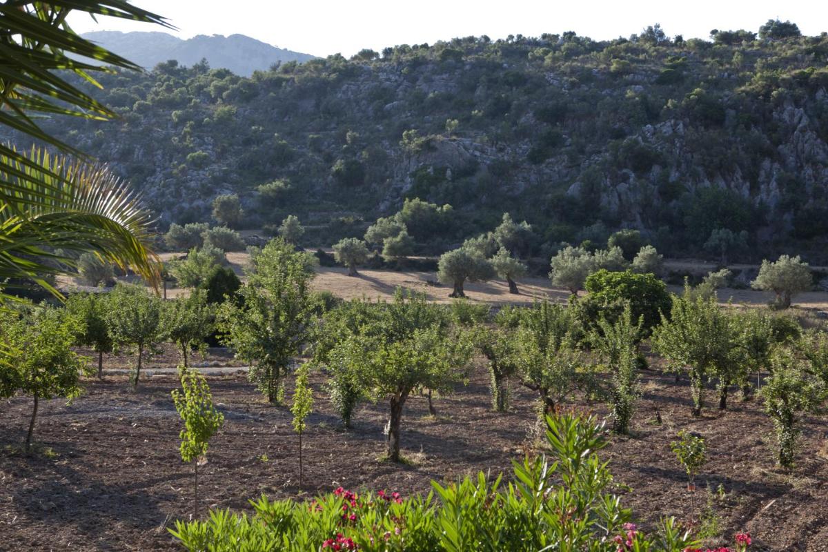 un campo de árboles con montañas en el fondo en L’Hermitage Hotel & Spa, en Orient 25 fotos más