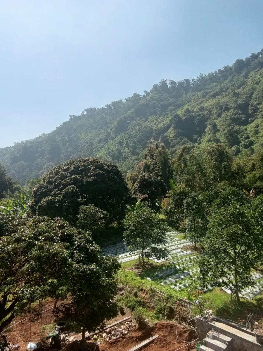 Hotel Nur Cahaya - Syariah - Housity