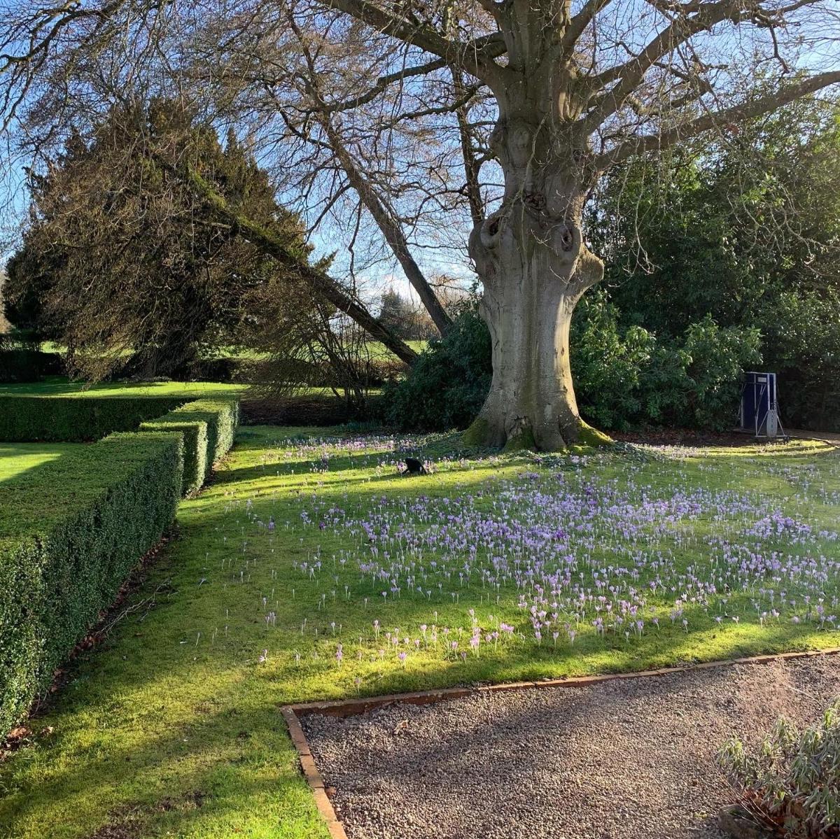 The Old Vicarage - Housity