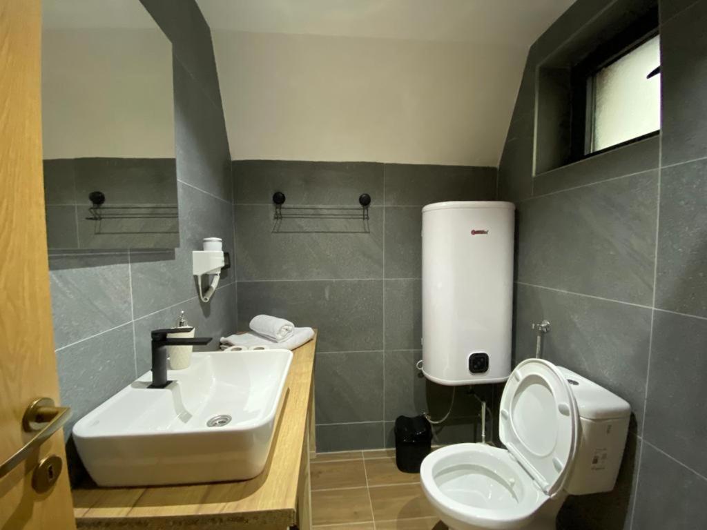 DANDELION HOUSE - Housity