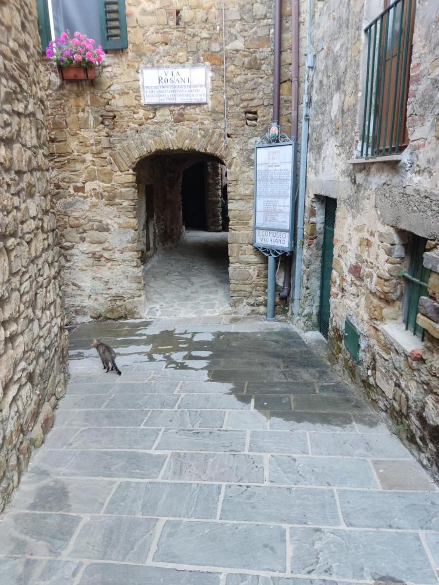 Casina vicino al Vico - Housity