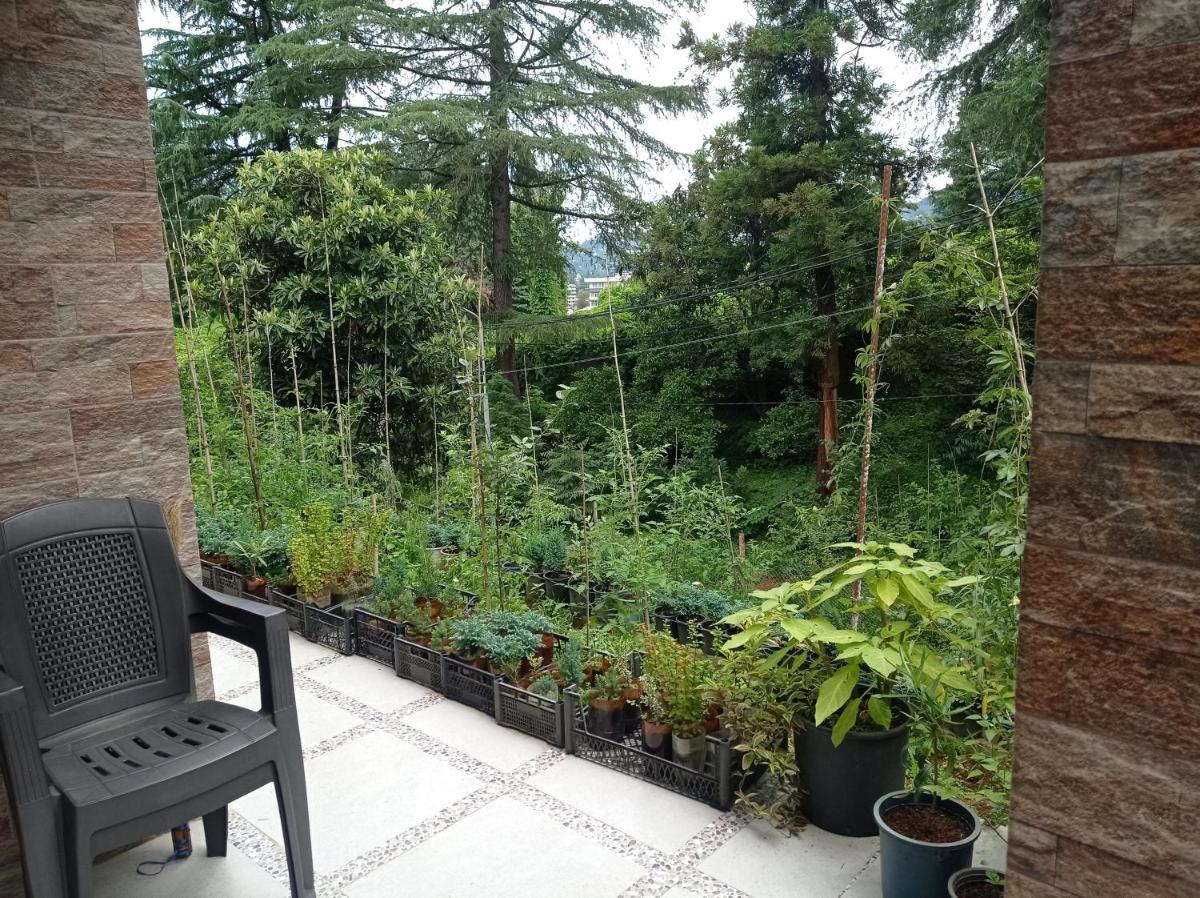 Georgy's Holiday House - Housity