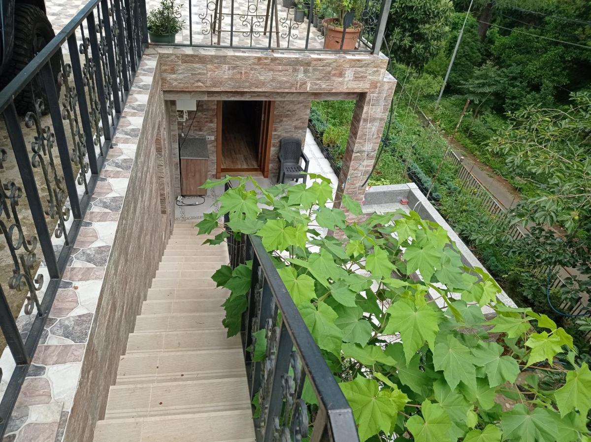Georgy's Holiday House - Housity