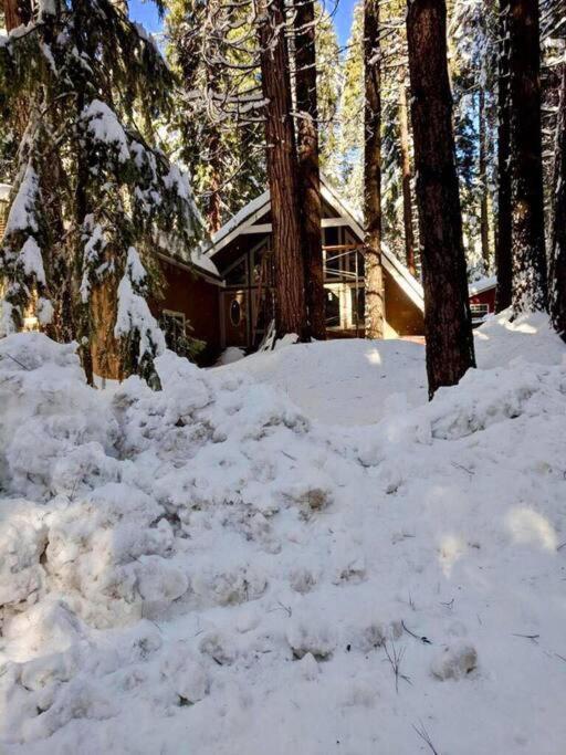 Modern Cabin Get Away - close to APPLE HILL - Housity