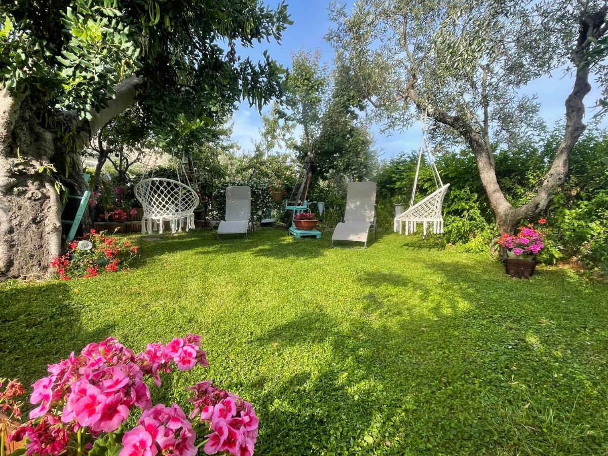 B&B Case Vacanza Orchidea marina di Macchia vicino a Mattinata Gargano - Housity
