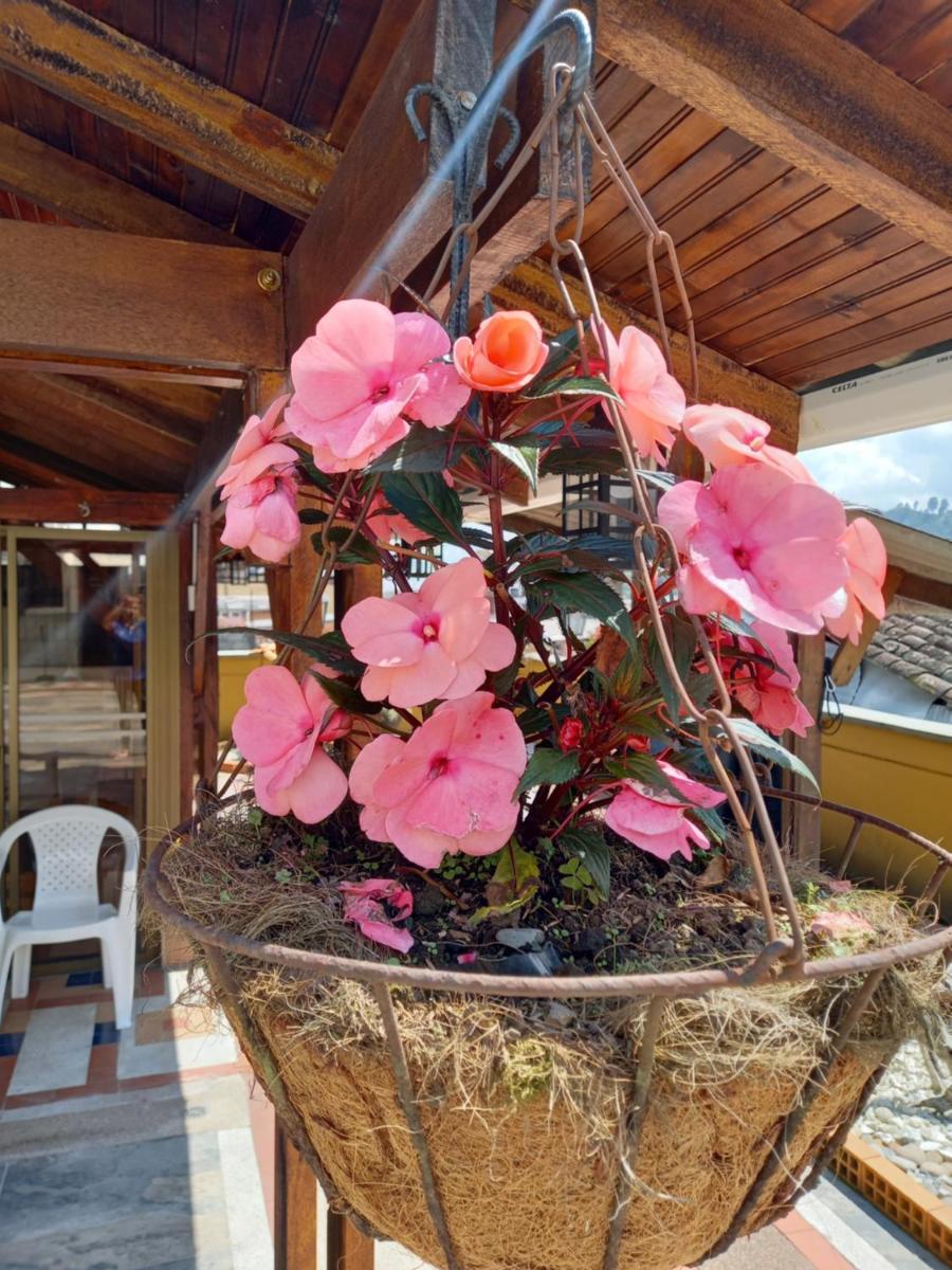 Suitetrails - The Canarys Hostal