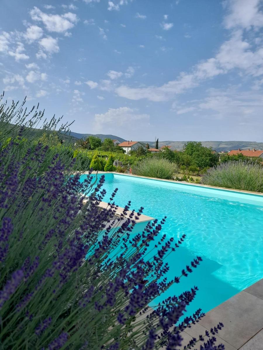 Villa Bella Vista - Housity