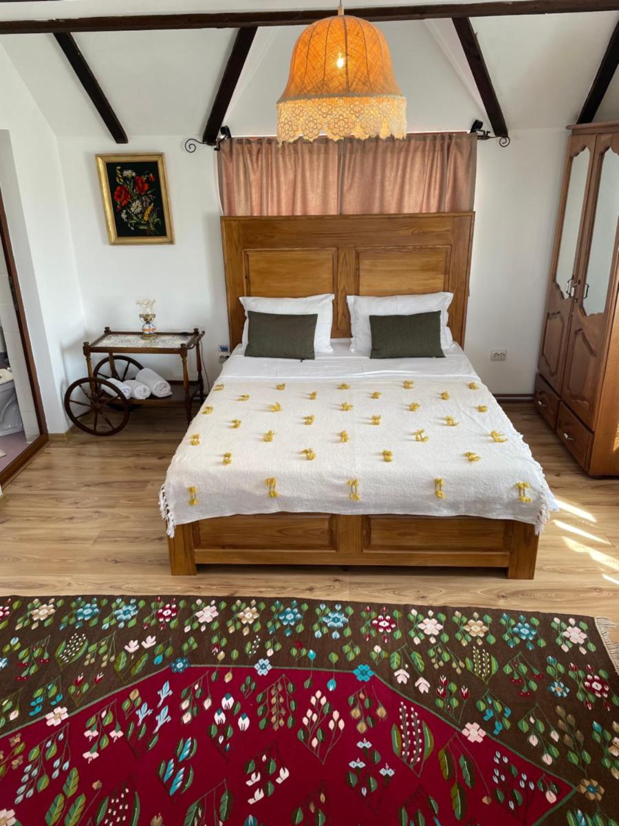 Conacul Paloși - Housity