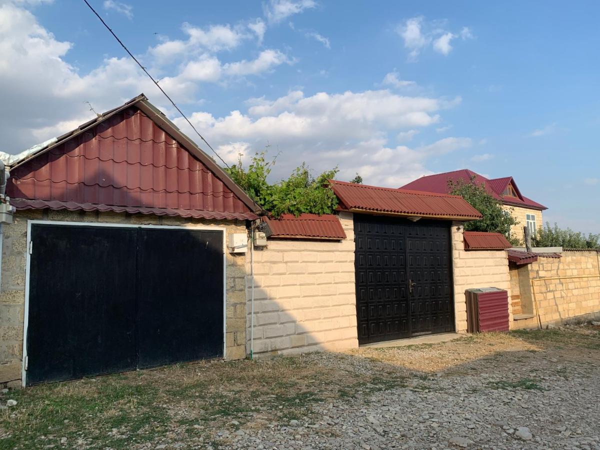 Shamaxi Qurdtapa - Housity