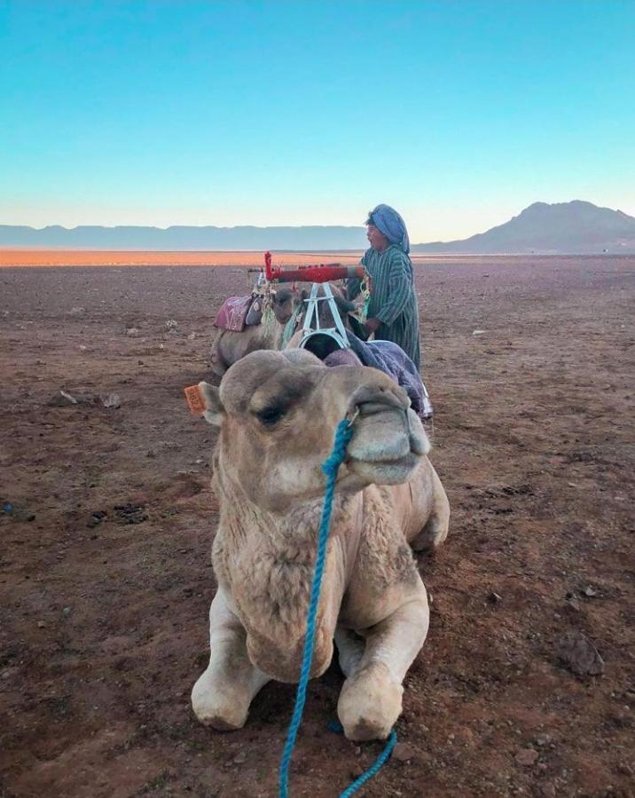 Bivouac ZAGORA - Housity