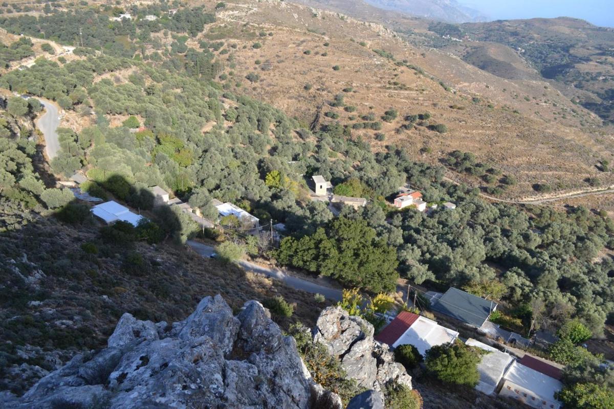 Garden Of Olive Trees - Housity