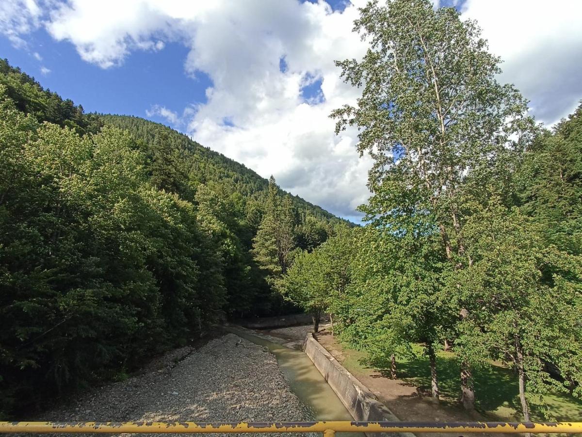 Suitetrails - Montana Slănic