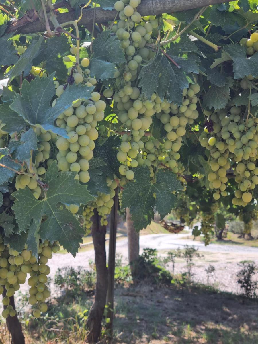 La Casa dei Ricordi - Housity