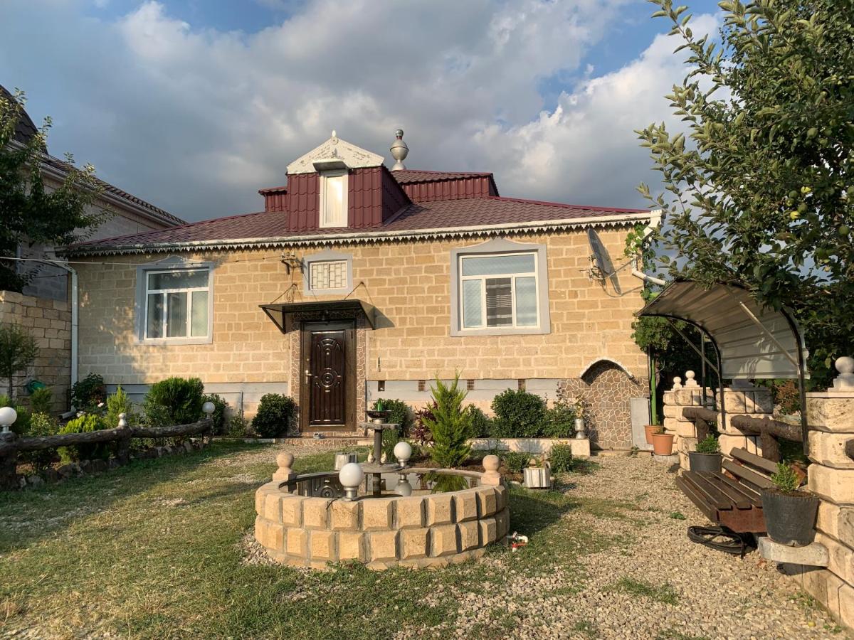Shamaxi Qurdtapa - Housity