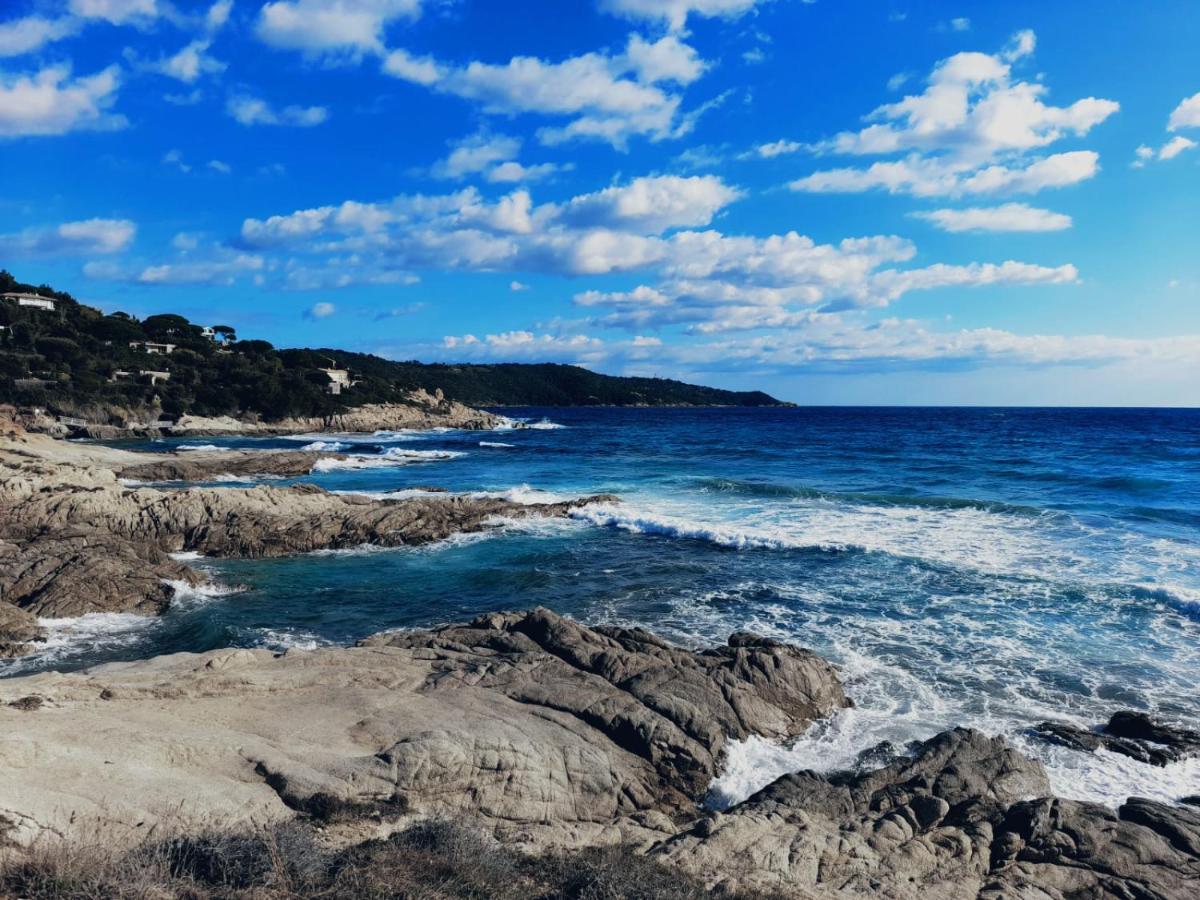 Charmant studio dans le golfe de saint tropez - Housity