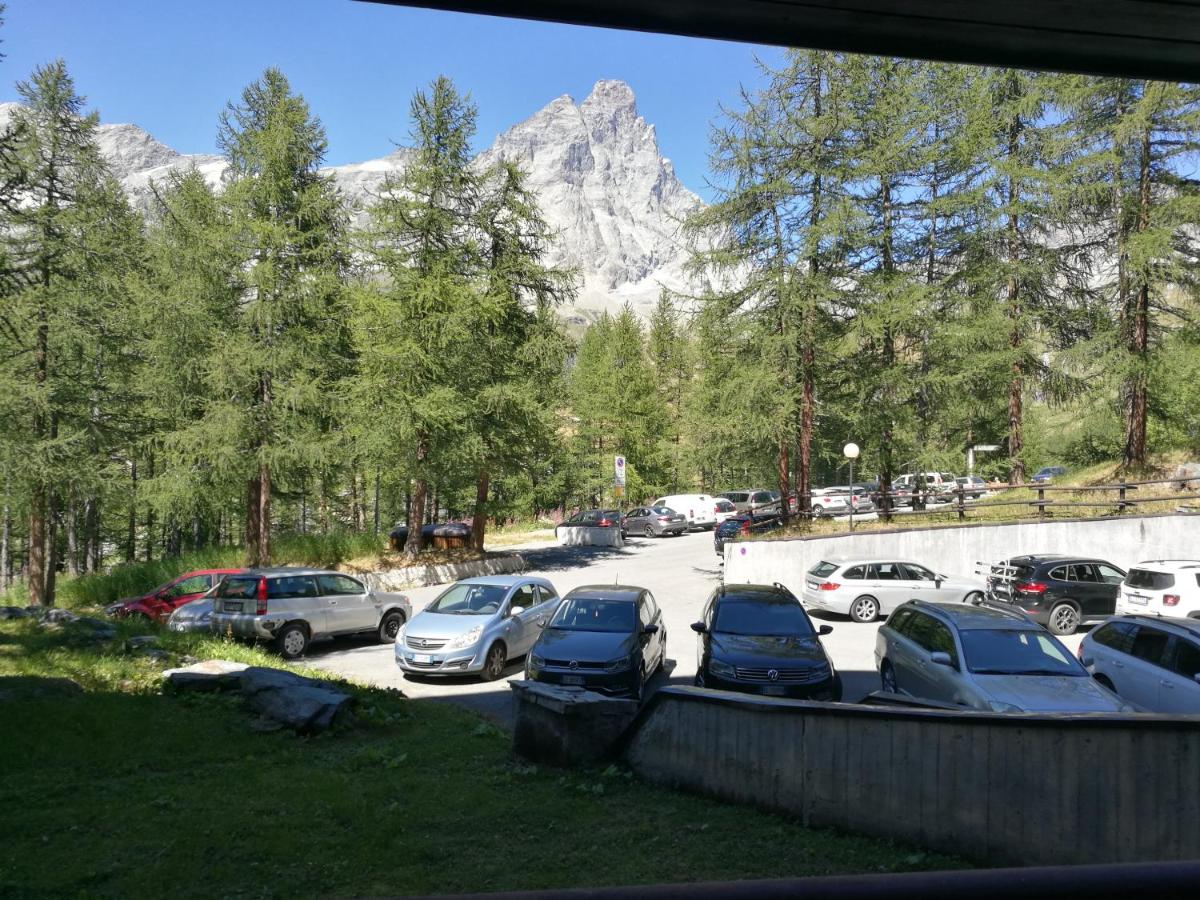 Grazioso monolocale vista Cervino - Housity