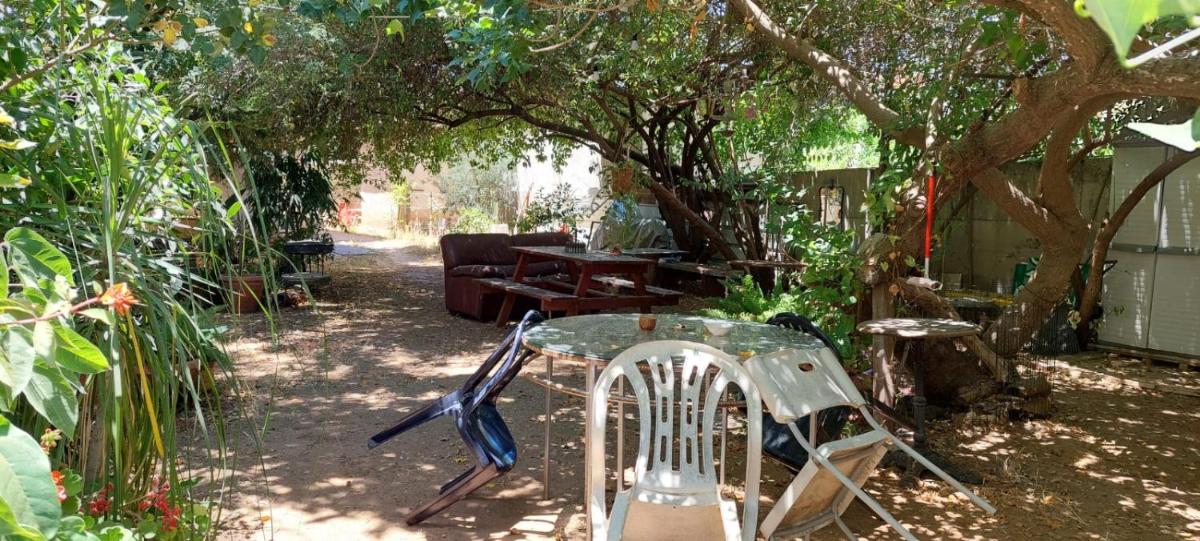Oasis in the heart of the city - Housity