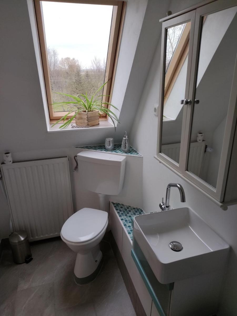 Ferienwohnung-Eider-im-Karolinenkoog-Erholung-zwischen-Feld-und-Deich - Housity