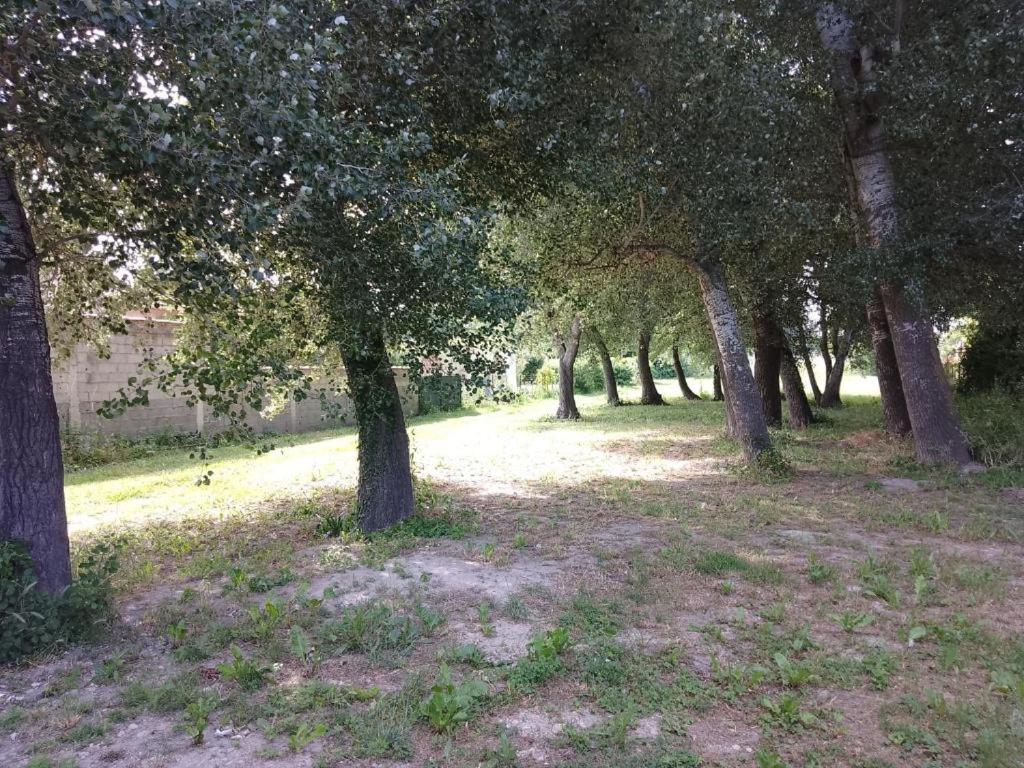 Les Acacias 84320 - Housity