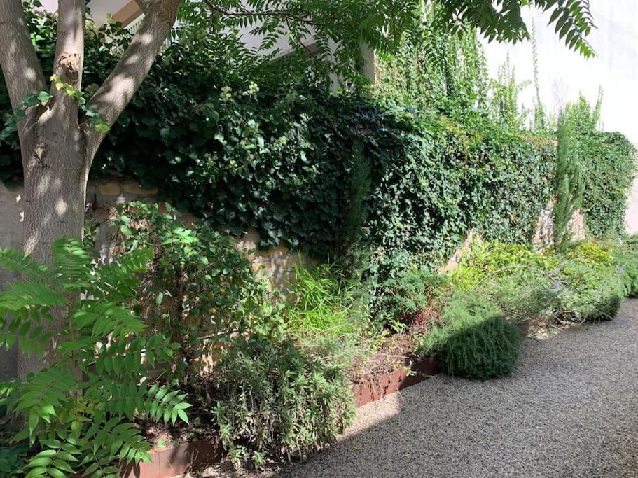 Natural Suite en centre ville avec SPA et jardin - Housity