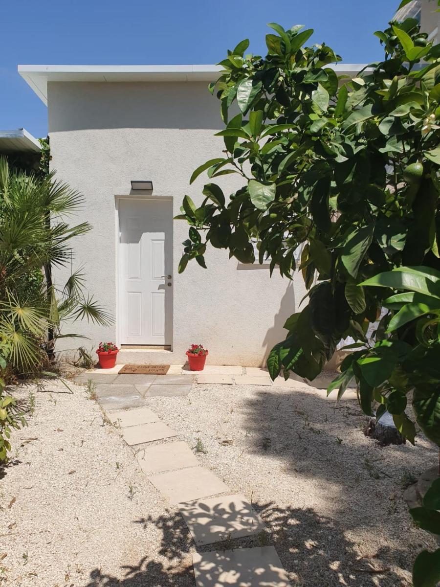 Oasis in the heart of the city - Housity