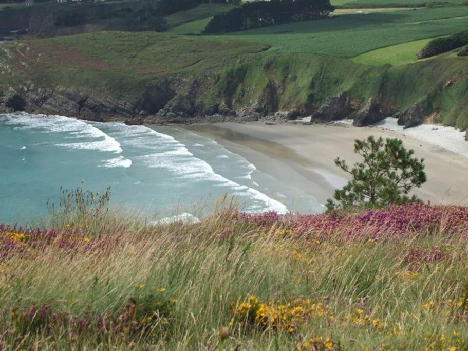 Gîtes Merour - Telgruc - Housity