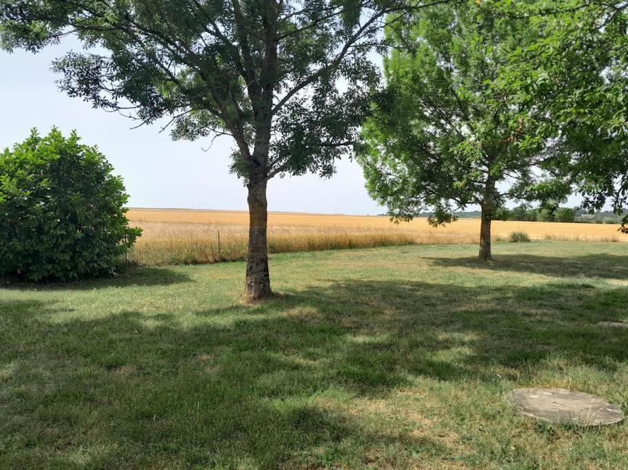 Maison conviviale au cœur de la campagne - Housity