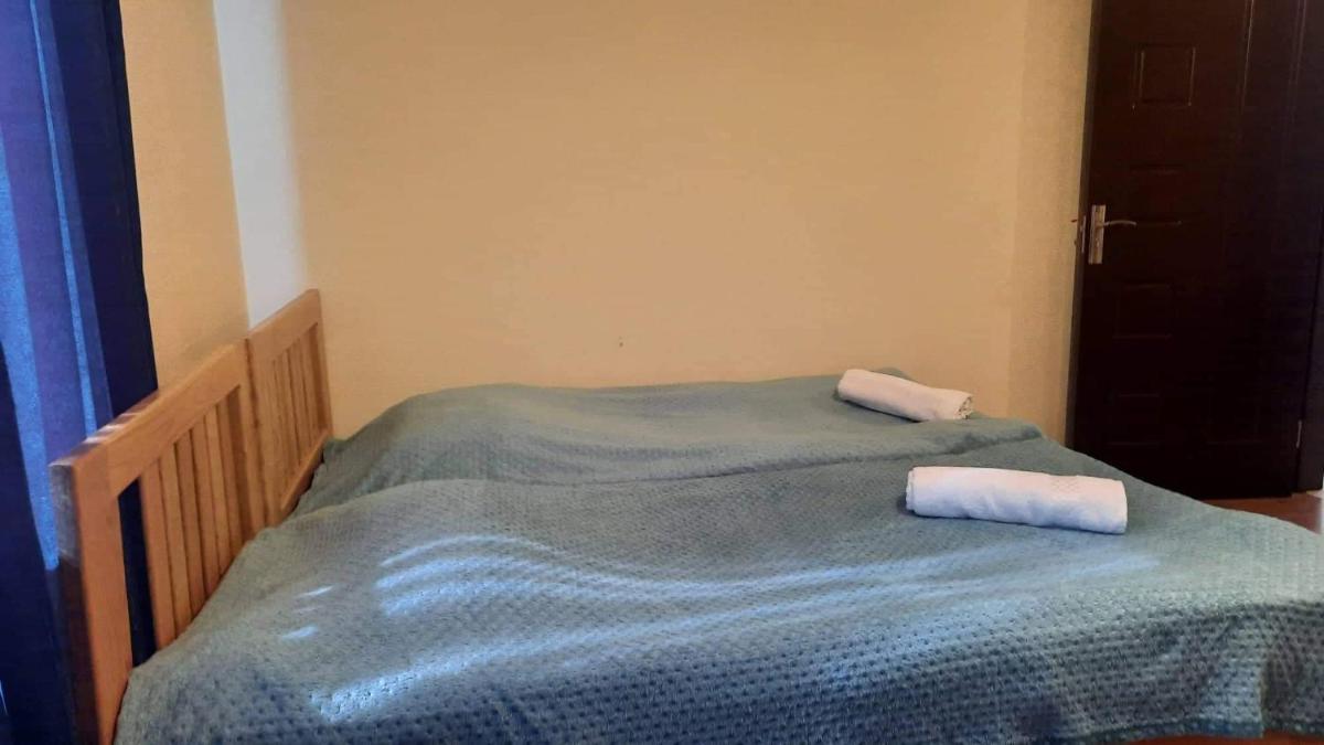 Daisvene mtashi - Housity