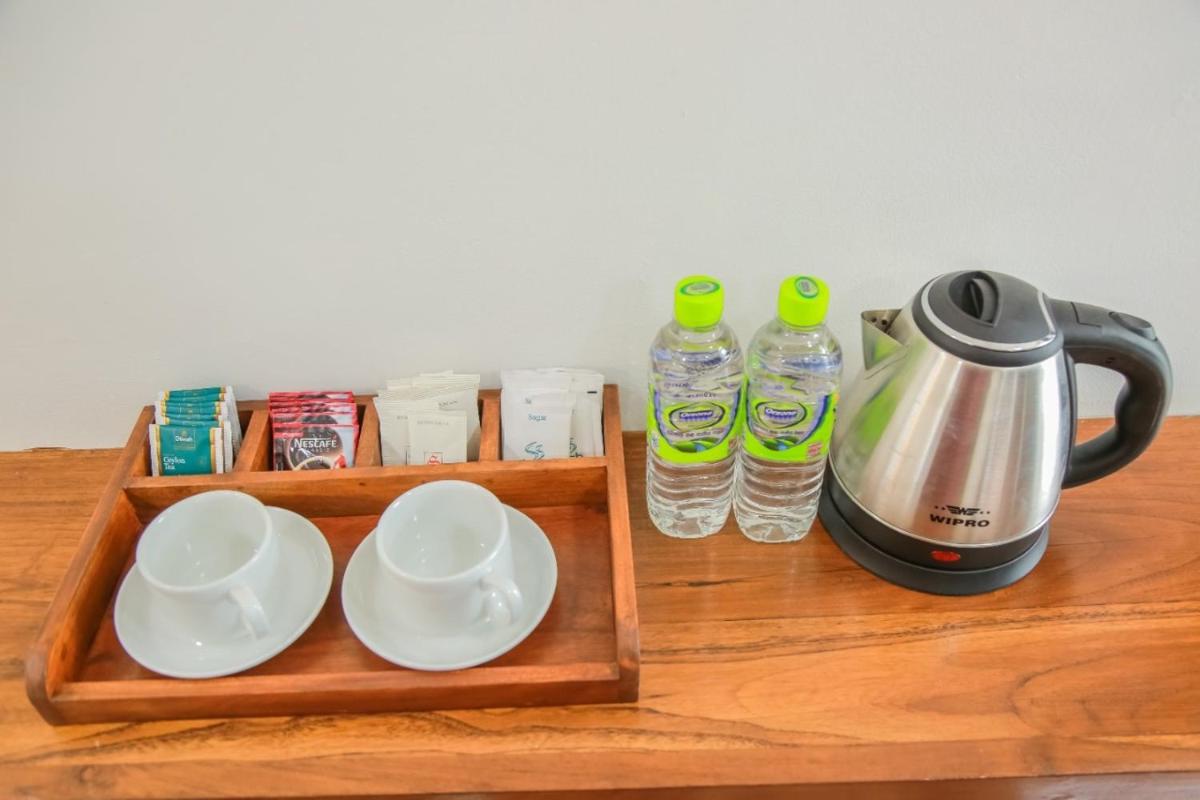 Dream Stay Green - Housity