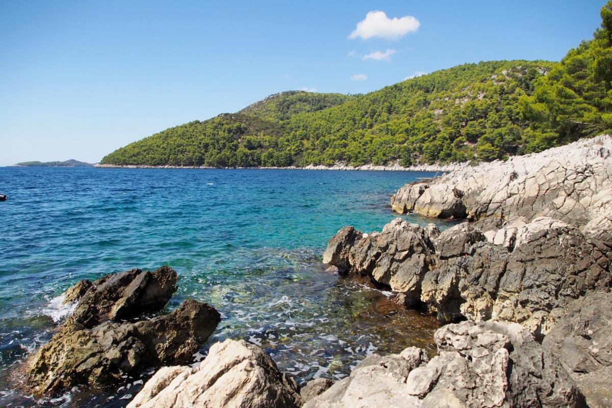 Seaside holiday house Brna, Korcula - 11038 - Housity