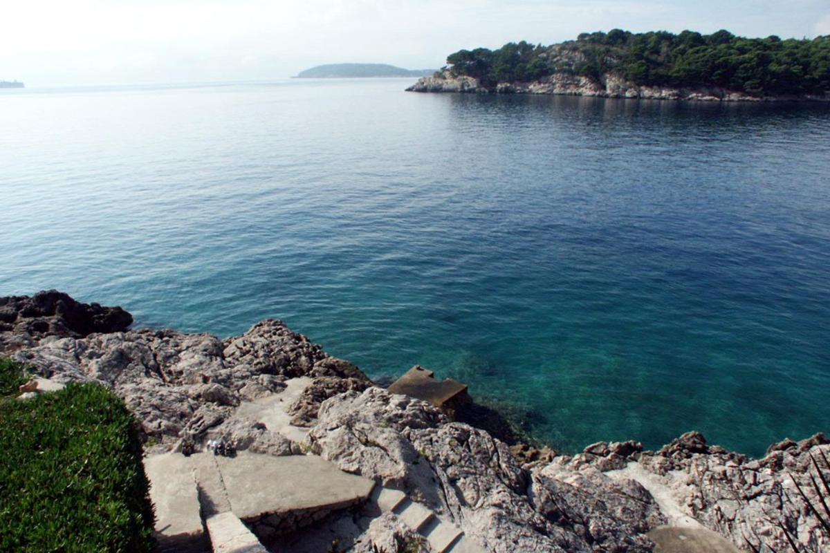Apartments by the sea Stikovica, Dubrovnik - 2131 - Housity