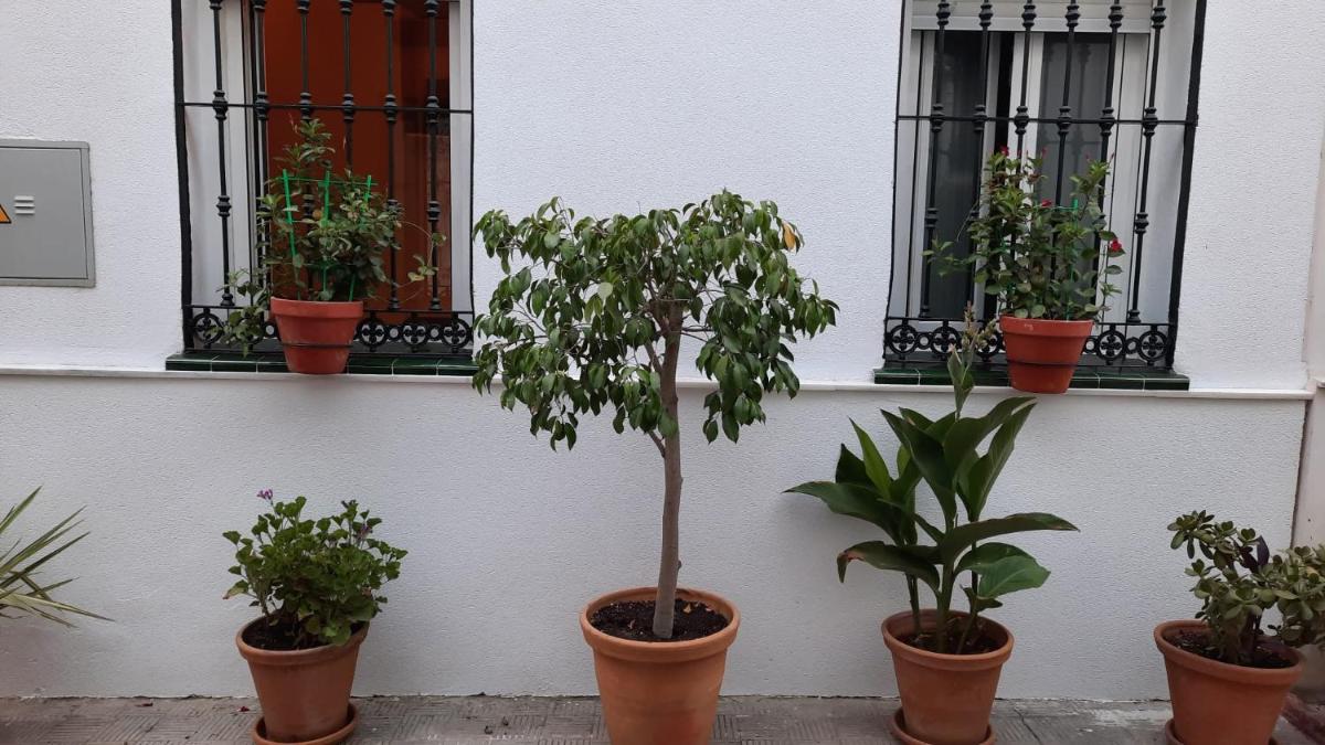 Carmona&House - Housity