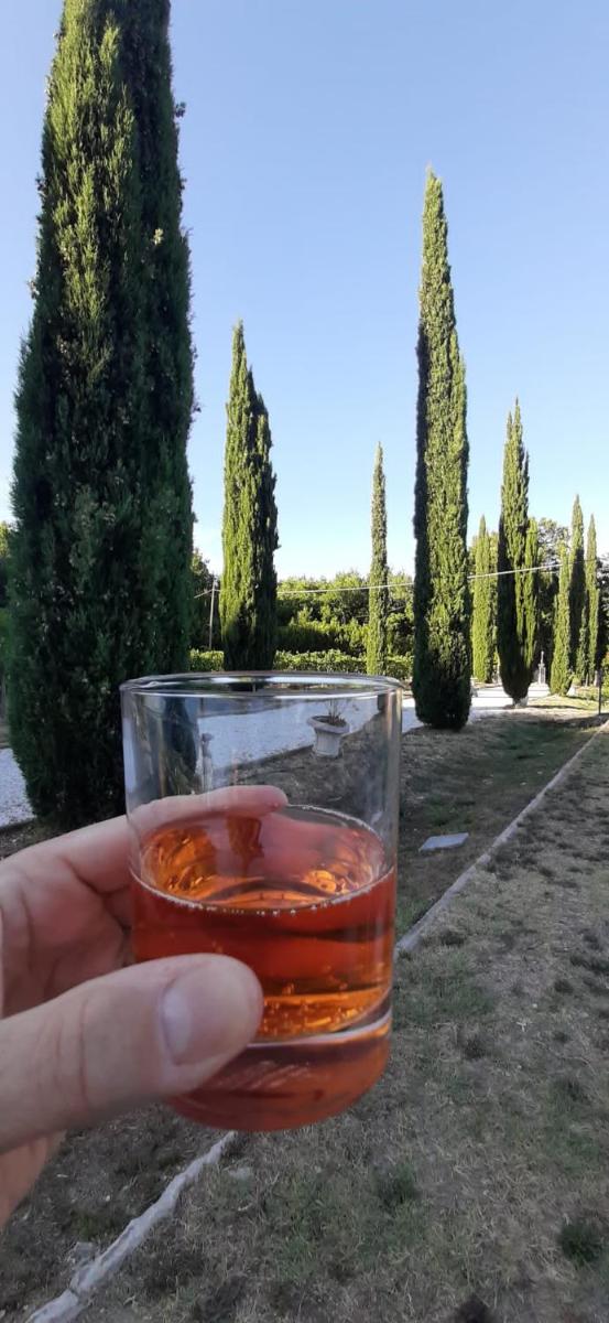 B&B Agriturismo Regno di Toscana - Housity