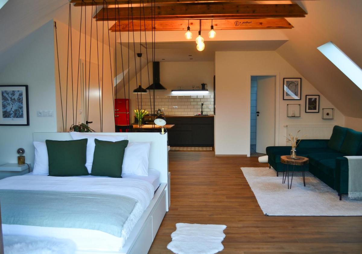 Loft vpodhuri Krušných hor s terasou a vířivkou - Housity