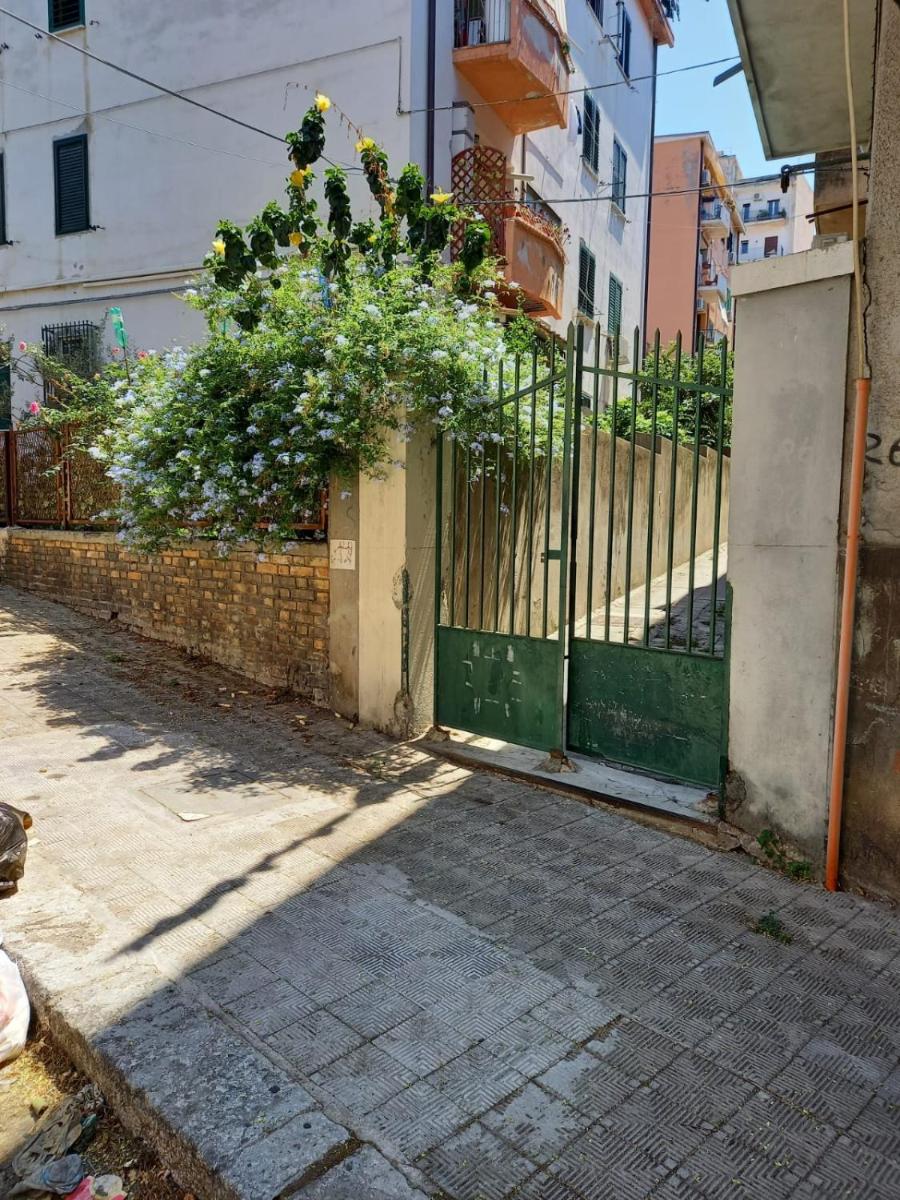 pp1.apartment - Housity