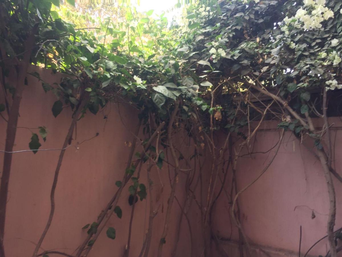 appartement - Housity