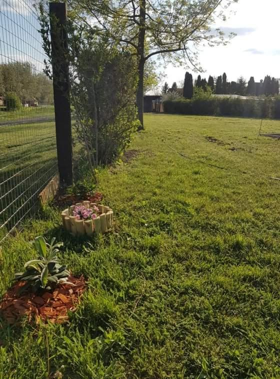 Suitetrails - ZöldPortál Vendégház Tiszanána -Dinnyéshát