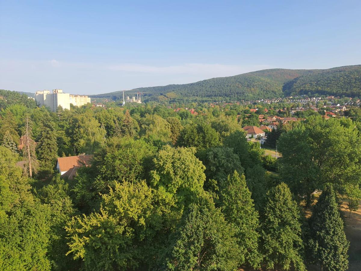 Hegyalja Apartman - Housity
