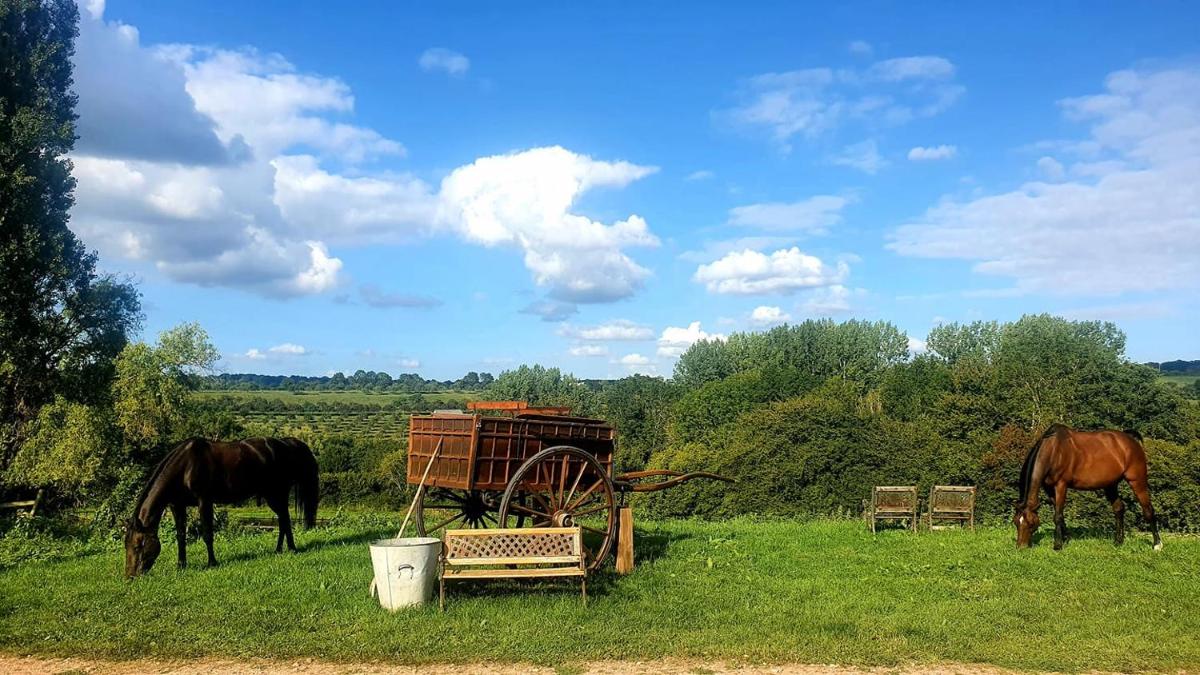 Gite des Trévignes - Housity