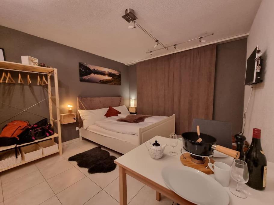 Ski-in cosy studio - Housity