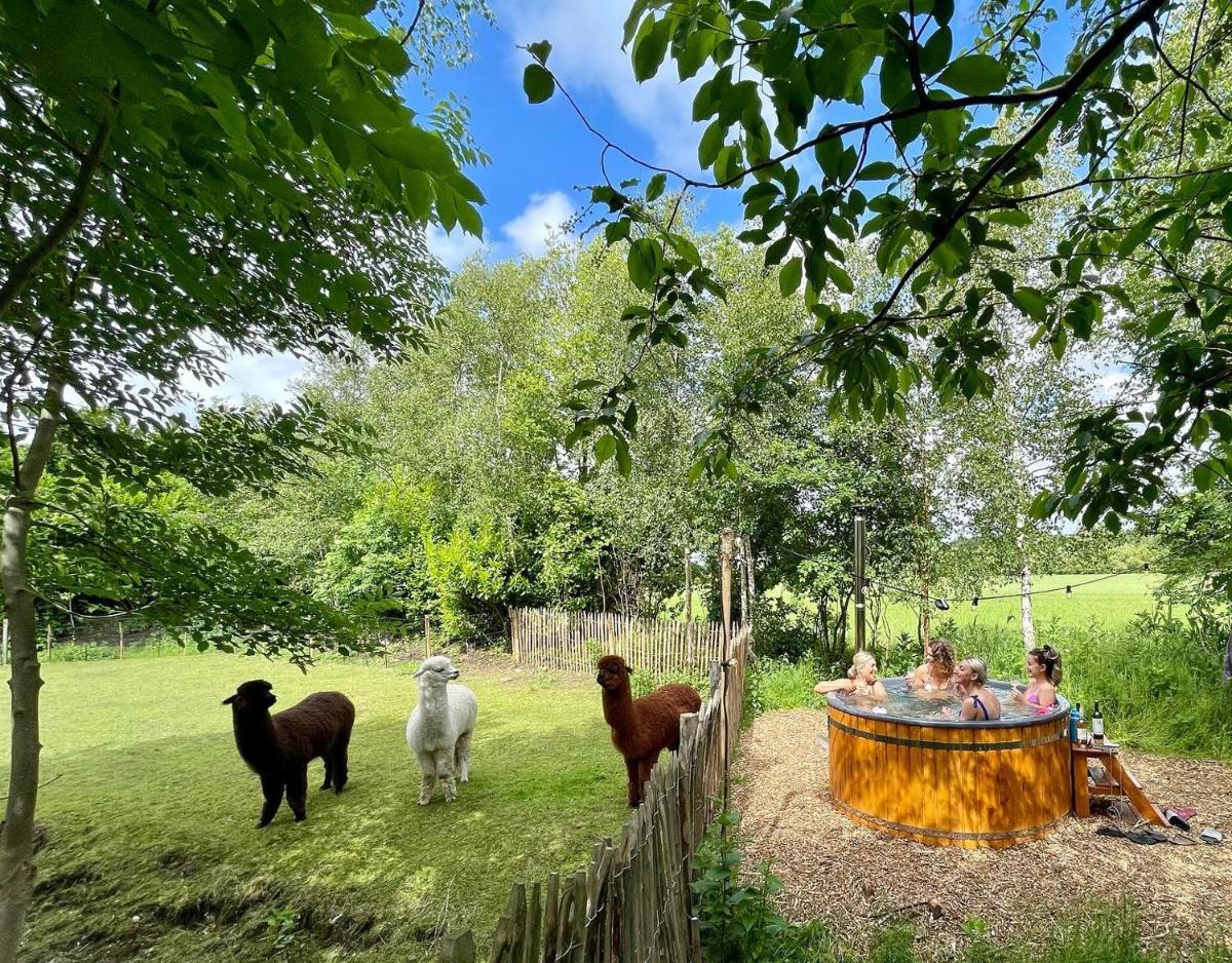 Ingerichte Boho, Indian of Tropical Bell Tent met alpaca's - Housity