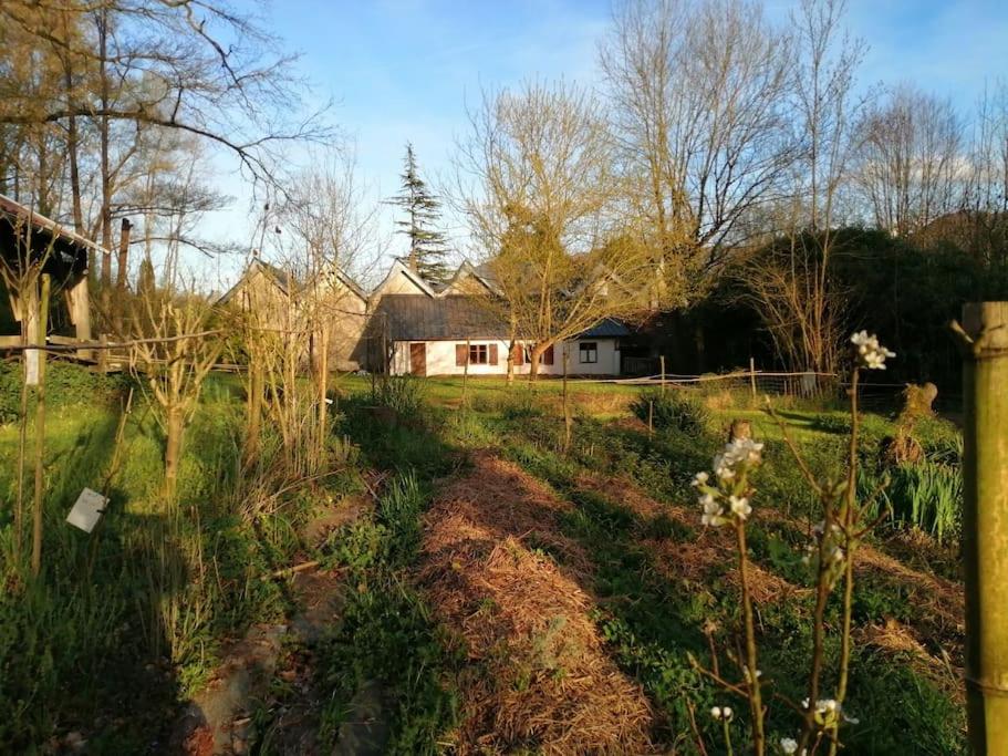 Gite Pyrénées de charme jacuzzi 2/3 pers - Housity